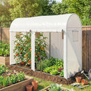 Serra a Tunnel da Giardino 300x100x200 cm per Piante e Orto con 2 Porte Avvolgibili e 4 Finestre in PE Bianco      