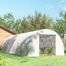 Serra a Tunnel 8x3x2 m con Rivestimento in Plastica e Acciaio Rinforzato Bianco      