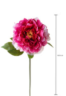 Set 6 Fiori Artificiali Peonia 65 cm 