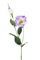 Lot de 12 Branches de Lisianthus Artificielles 2 Fleurs H 60 cm