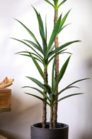 Yucca Artificiale con Vaso Altezza 154 cm Grigio