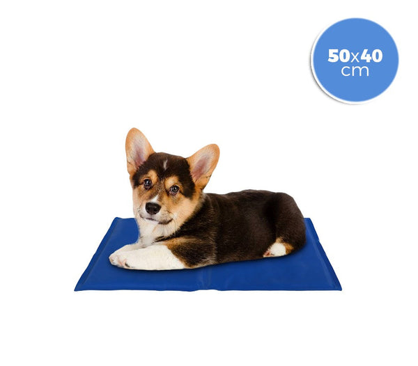sconto Tapis rafraîchissant 40x50 cm avec gel rafraîchissant pour petits chiens