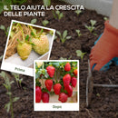 Telo per Pacciamatura 100x1 m Traspirante e Anti-UV in Polipropilene Nero   