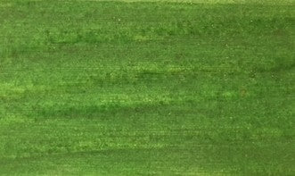 Impregnante per Legno da Esterno 4 Litri Verde