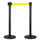 2 Tringles à Rideaux 3 mètres en Métal Noir Mat Ø36x101 cm Ruban Jaune