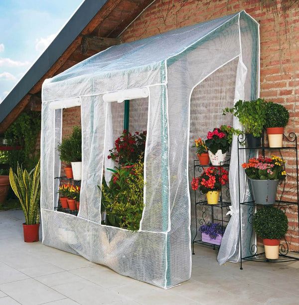 Serre de jardin murale en PVC avec tissu vert Lobelia Rama sconto