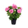 Géranium artificiel avec pot Hauteur 47 cm Rose
