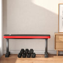 Panca Piana per Pesi e Addominali Capacità 300kg 106x26x48 cm Nero  