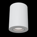 Plafoniera Ceiling & Wall in Alluminio Alfa Bianco