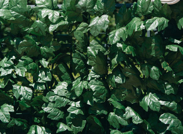 Arella Haie Synthétique Artificielle en Polypropylène Branche d'Ombrage Feuilles de Lierre Différentes Tailles acquista