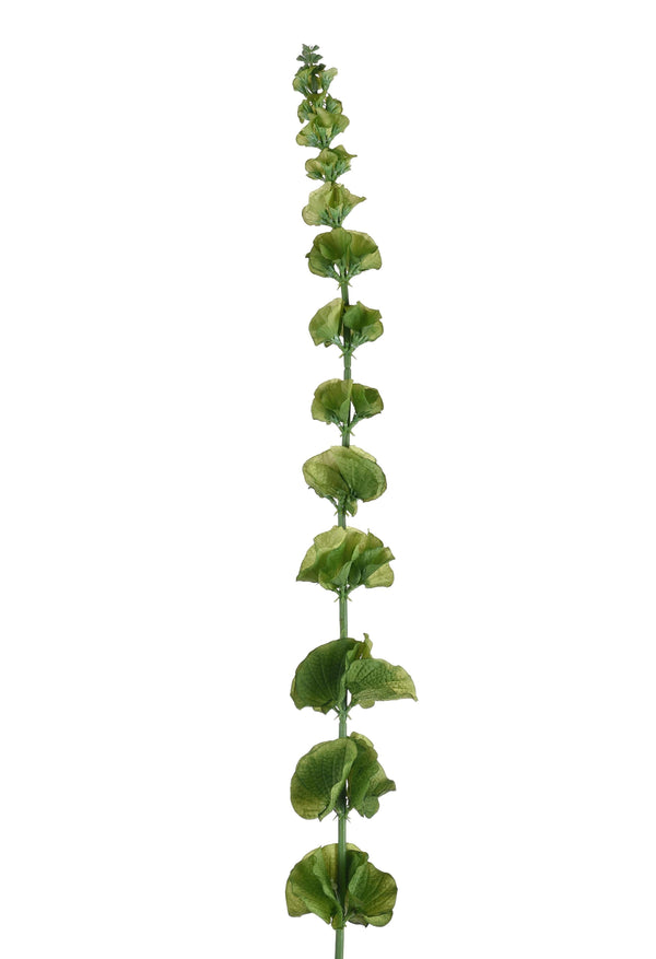 sconto Lot de 3 fleurs artificielles Molucella hauteur 102 cm vert