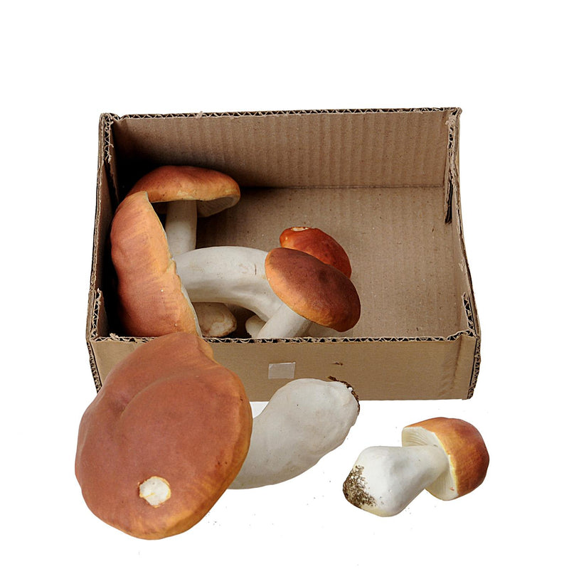 Set 12 Porcini Artificiali Assortiti H 22 cm
