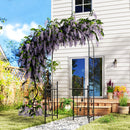Arco da Giardino con Cancello 107x45x217 cm Traliccio per Piante Rampicanti in Metallo Nero  