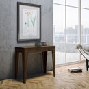 Consolle Allungabile 90-302x42x77 cm in Nobilitato Marrone