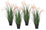 Lot de 4 plantes artificielles avec vase Ø 70x100 cm Grevillea en plastique rose