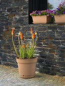 Vaso in Polipropilene con Riserva d'Acqua e Sottovaso Tulli Hydral Elements Bruno Varie Misure