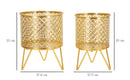 Porta Vasi Ceci Coppia Ø16x20 cm - Ø13x20 cm in Ferro Oro      