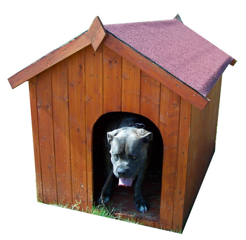 Cuccia per Cani Taglia Piccola 70x110x75 cm in Legno Massello Naturale 