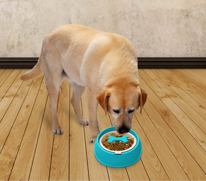 Ciotola sport per cani gatti 20 cm anti-soffocamento e migliore digestione Blu