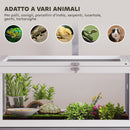 Casetta Tartarughe Rialzata 104x53x82 cm con Divisorio Vassoio Estraibile in Legno e PS Grigio e Bianco      