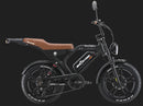 Fat Bike Elettrica Ape Ryder Mandril Ultra 250W 48V Bici Elettrica Pedalata Assistita Autonomia 50 km Nero Opaco  
