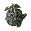 Set 4 Foglie Artificiali Syngonium per 21 Foglie 18 cm 