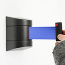 Tendinastro da Parete 5 m con Clip di Chiusura Nastro Blu