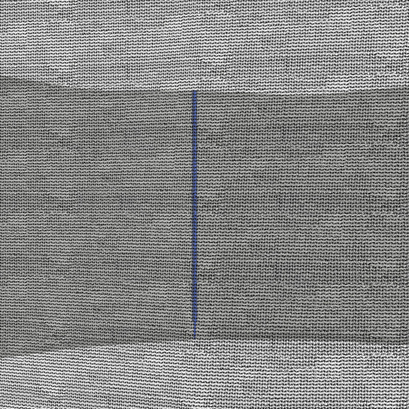 Rete di Protezione per Trampolini a 6 Pali con Ingresso con Cerniera Ø244x180 cm in PE Nero e Blu