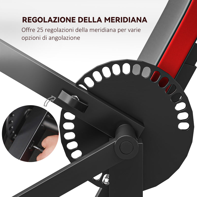 Panca Romana 2 in 1 per Curl e Tricipiti Regolabile 105x95x80 cm Nero 