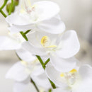 Pianta Artificiale Orchidea H75 cm con Vaso Bianco