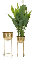 Porta Fiori Glam Coppia Ø27x62-21,5x52 cm in Ferro Oro