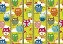 Set 5 Scatole cartone gufi 
