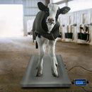 Bilancia veterinaria 60x90 cm Max 300kg con Display