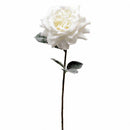 Set 6 Rose Single Ghiacciata H68 cm Bianco