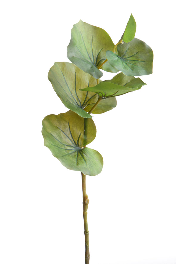 Set 12 Branches de Kalanchoé Artificiel Hauteur 74 cm Vert prezzo