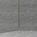 Rete di Protezione per Trampolini a 6 Pali con Ingresso con Cerniera Ø244x180 cm in PE Nero e Verde