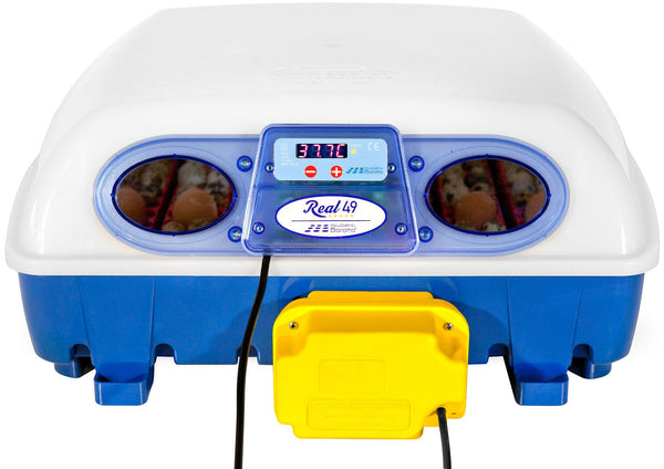 online Incubateur d'oeufs automatique professionnel Borotto Real 49
