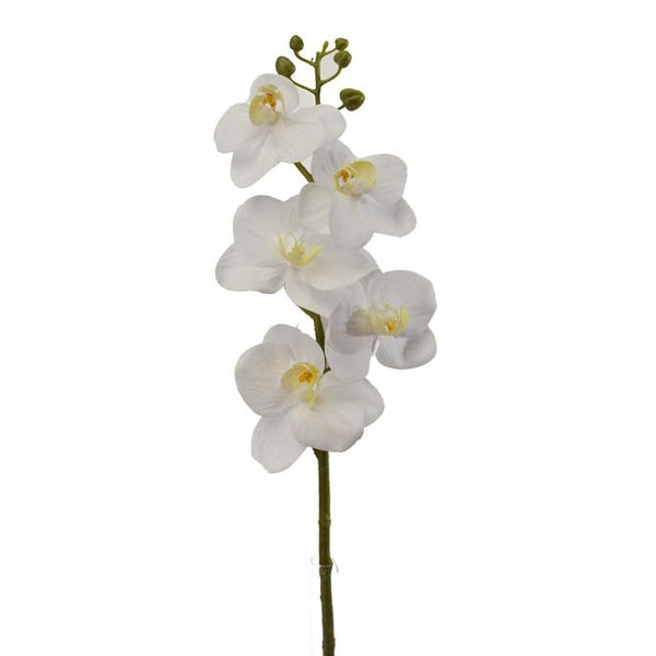 Lot de 6 mini Phalaenopsis artificiels hauteur 43 cm blanc online