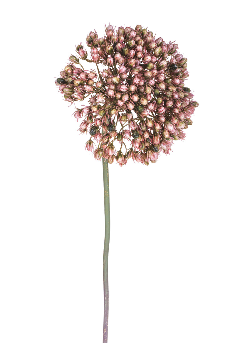 Set 4 Fiori Artificiali di Allium Altezza 65 cm Rosa
