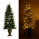 Albero di Natale Luminoso 600 LED H195cm Verde