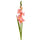 Set 8 Glaïeuls Artificiels Mini Hauteur 74 cm Rose
