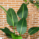 Set 2 Piante Artificiali Palma del Viaggiatore da Interno e Esterno H150 cm con Vaso Verde