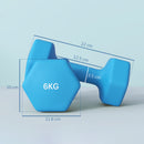 Set 2 Manubri Palestra 6 kg Pesi esagonali per Allenamento Azzurro