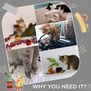 Albero Tiragraffi Ø60x136 cm con Lettino e Pallina Grigio