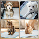 Set 100 Tappetini Assorbenti Traversine Igieniche 45x30 cm a 6 Strati 