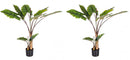 Set 2 Piante Artificiali Dieffenbachia Ø100x134 cm in Plastica con Vasi Verde-1