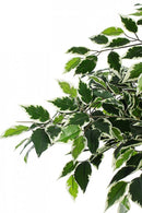 Set 2 Piante Artificiali di Ficus 120 h in Plastica con Vasi Verde-3