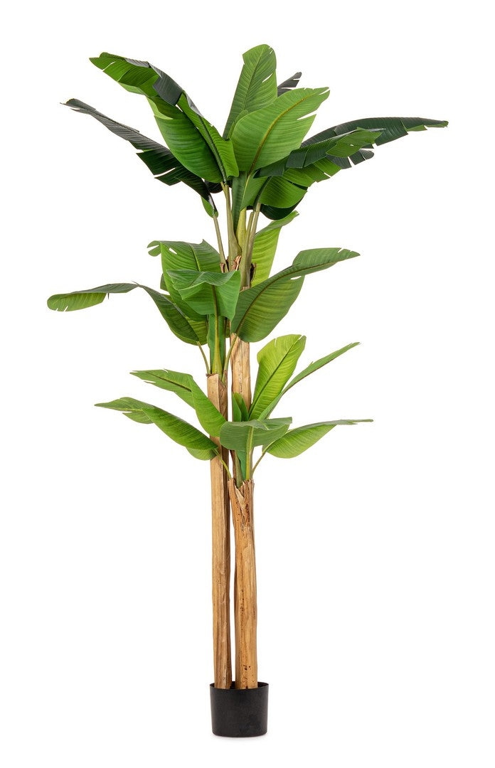 Pianta Artificiale di Banano 170x160x280 cm in Plastica con Vaso Verde -1