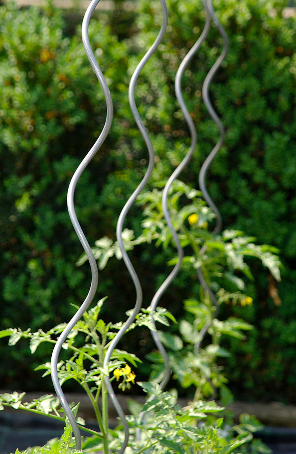 sconto Lot de 10 Supports Spirales pour Plants de Tomates 200 cm en Acier