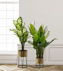 Set 2 Portavasi Ø21x40-19x22 cm in Metallo Nero e Oro-5